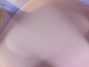 投资组合